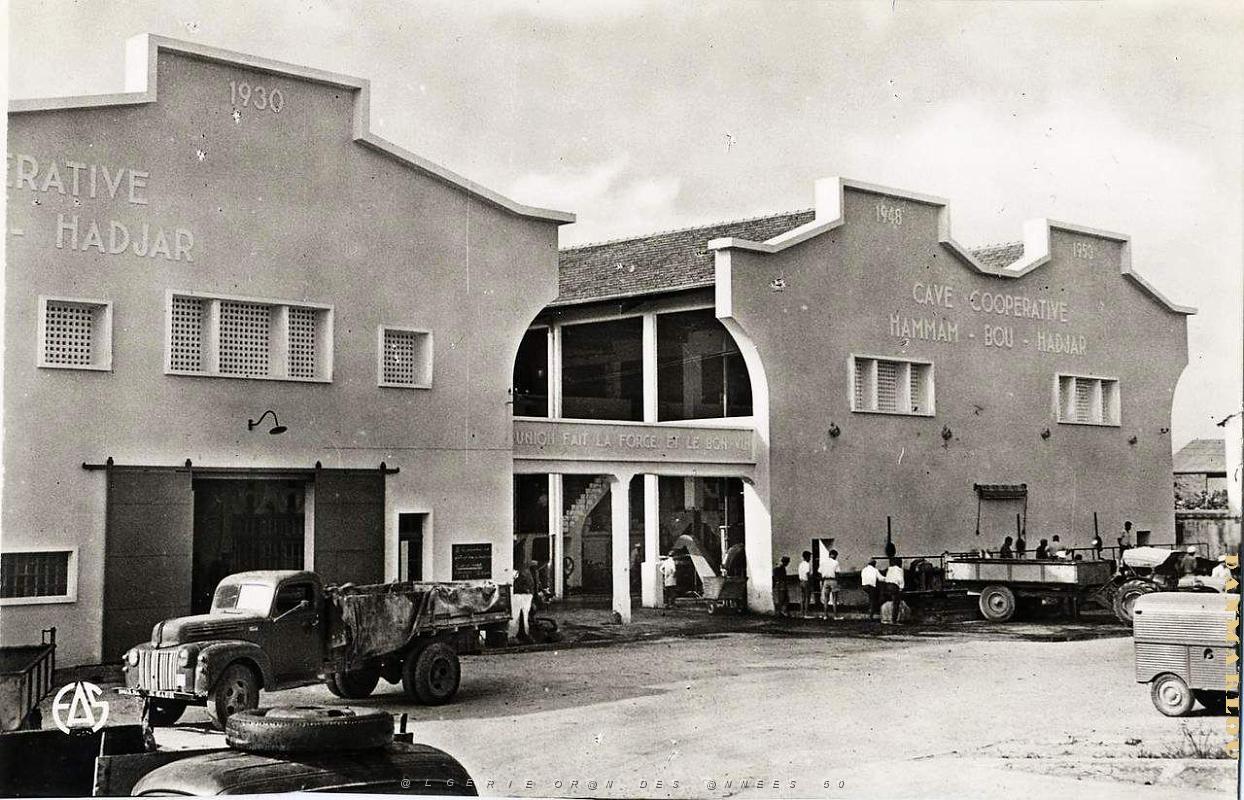 Hammam bou hadjar 520- Cave cooperative COLLECTION DES AMIS DE ND DE SANTA CRUZ.jpg
